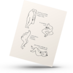 Pocztówka – Ciałko