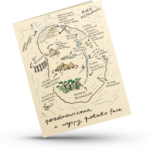 Harmonijka z pocztówek - pozdrowienia z wyspy potato face