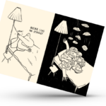 Pocztówka – Spanko